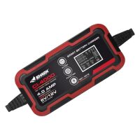 CI-4000 Pb a Li-ion nabíječka baterií 6/12V DC, IP54, 2A/4A